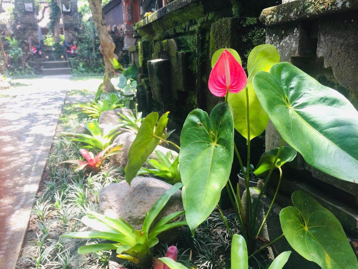 Tungeh Inn Ubud Kültér fotó