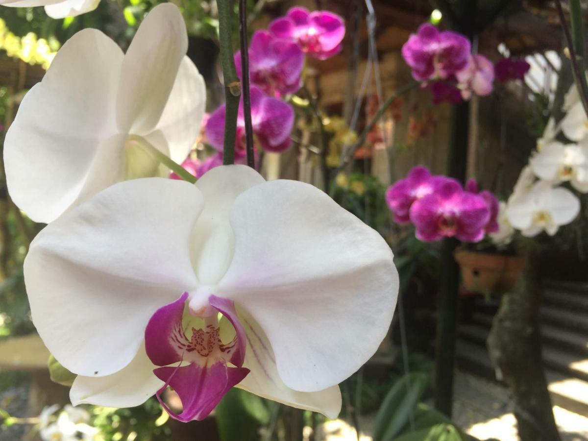 Tungeh Inn Ubud Kültér fotó