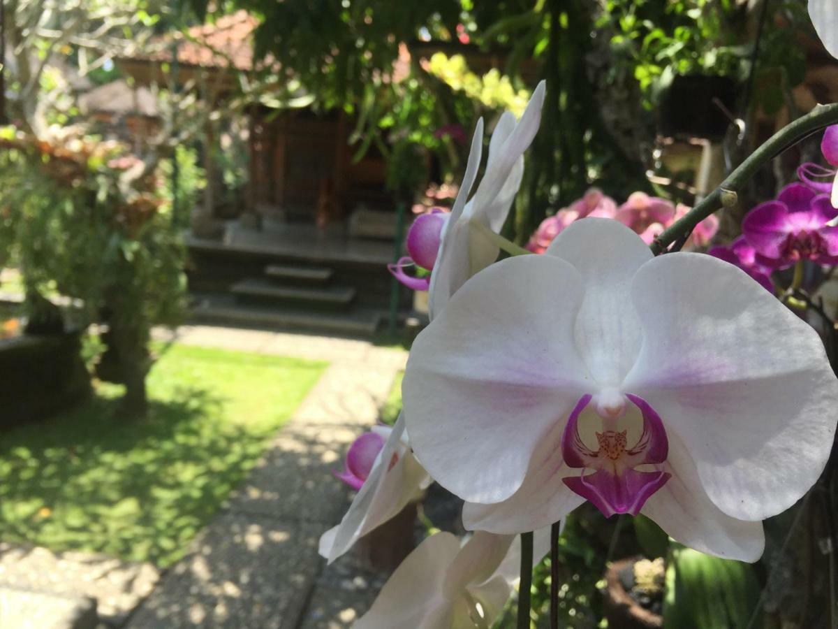 Tungeh Inn Ubud Kültér fotó