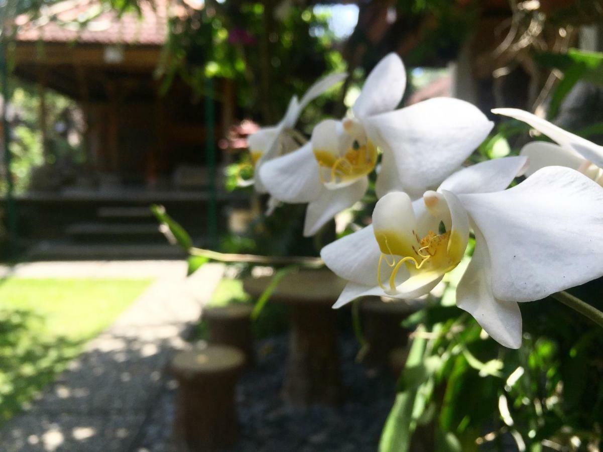 Tungeh Inn Ubud Kültér fotó